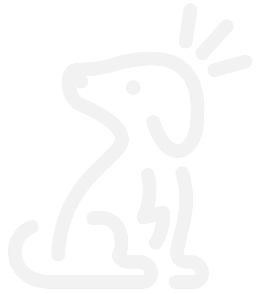 Ask the Dog